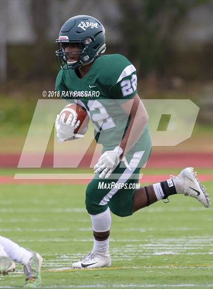 Thumbnail 2 in Connetquot @ William Floyd photogallery.