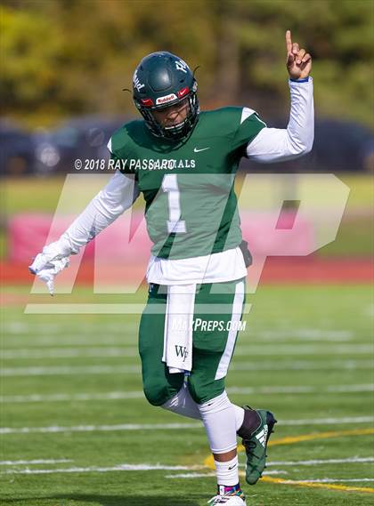 Thumbnail 2 in Connetquot @ William Floyd photogallery.