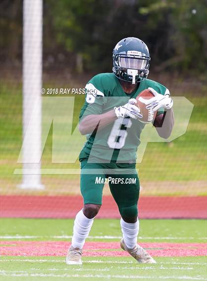 Thumbnail 2 in Connetquot @ William Floyd photogallery.