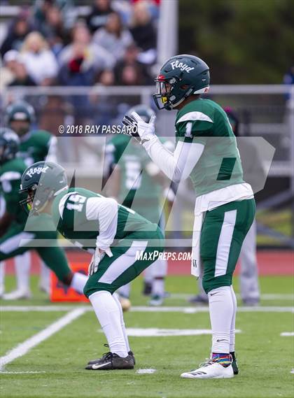 Thumbnail 1 in Connetquot @ William Floyd photogallery.