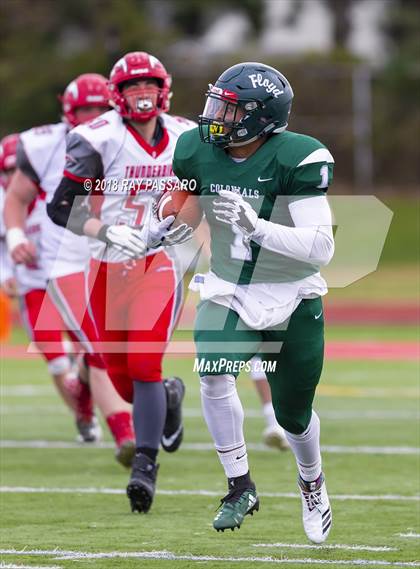 Thumbnail 2 in Connetquot @ William Floyd photogallery.
