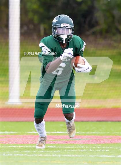 Thumbnail 1 in Connetquot @ William Floyd photogallery.