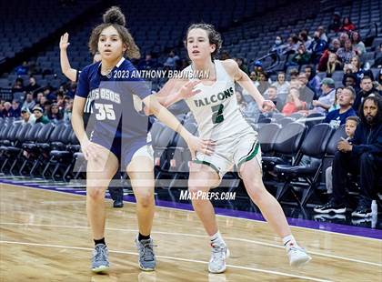 Thumbnail 1 in Los Osos vs.Colfax (CIF State D3 Final) photogallery.