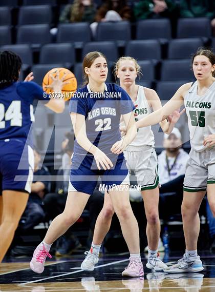 Thumbnail 1 in Los Osos vs.Colfax (CIF State D3 Final) photogallery.