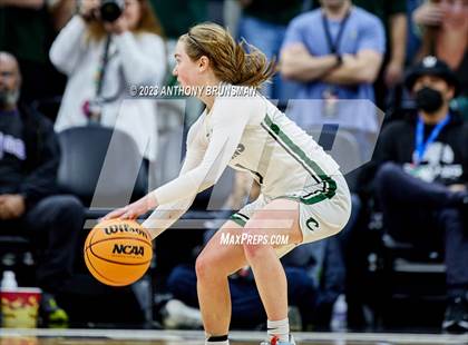 Thumbnail 1 in Los Osos vs.Colfax (CIF State D3 Final) photogallery.