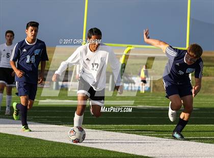 Thumbnail 2 in Widefield @ Falcon photogallery.