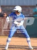 Photo from the gallery "Live Oak @ Walker"