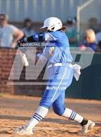 Photo from the gallery "Live Oak @ Walker"