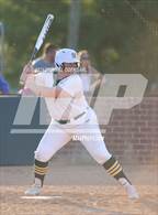 Photo from the gallery "Live Oak @ Walker"