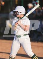 Photo from the gallery "Live Oak @ Walker"