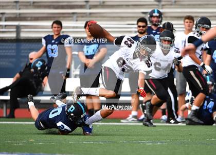 Thumbnail 2 in Alpharetta @ Pope photogallery.