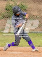 Photo from the gallery "Cathedral @ Marshall"
