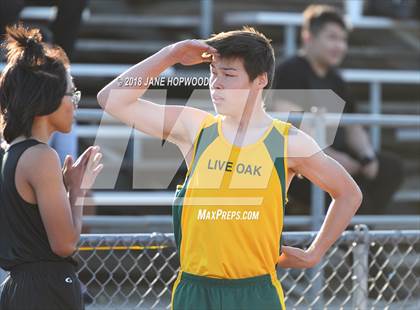 Thumbnail 1 in Hill @ Live Oak photogallery.