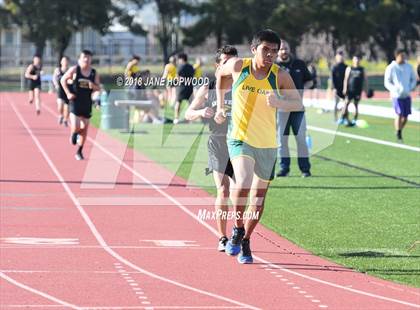 Thumbnail 3 in Hill @ Live Oak photogallery.