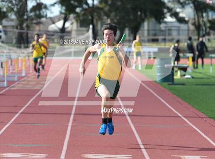 Thumbnail 1 in Hill @ Live Oak photogallery.