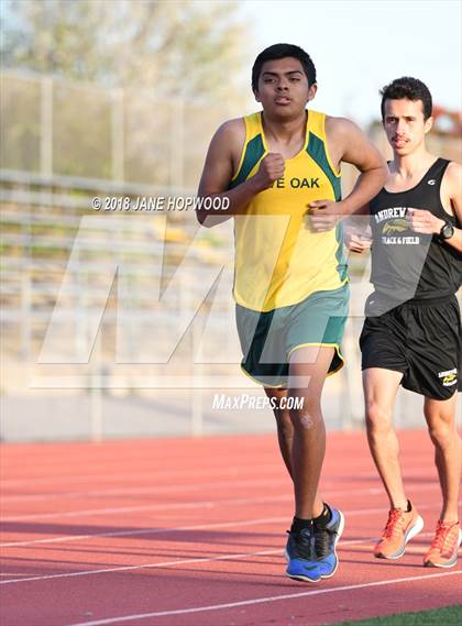 Thumbnail 3 in Hill @ Live Oak photogallery.