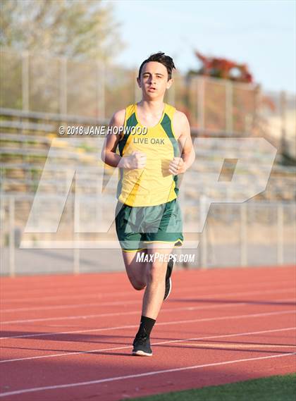 Thumbnail 3 in Hill @ Live Oak photogallery.