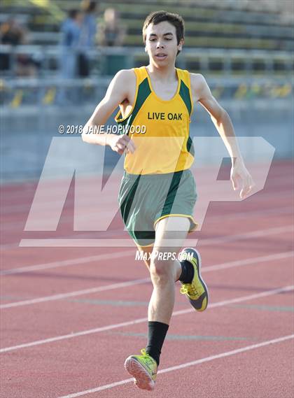 Thumbnail 2 in Hill @ Live Oak photogallery.