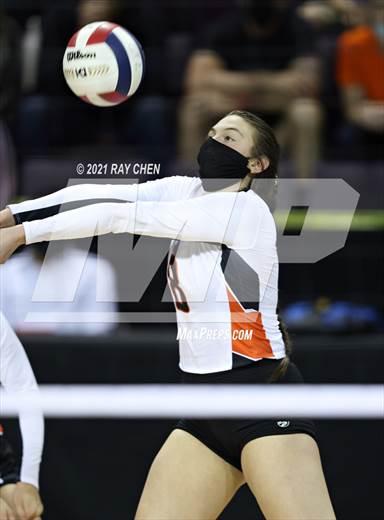 null - Photo 11