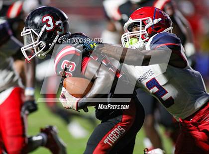 Thumbnail 3 in Manatee @ Palmetto photogallery.