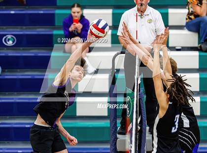 Thumbnail 3 in Douglas County vs. Grandview (CHSAA 5A Round 1) photogallery.