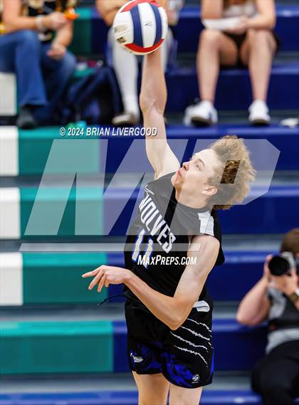 Thumbnail 1 in Douglas County vs. Grandview (CHSAA 5A Round 1) photogallery.