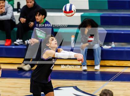 Thumbnail 3 in Douglas County vs. Grandview (CHSAA 5A Round 1) photogallery.