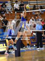Photo from the gallery "Paraclete @ Quartz Hill"