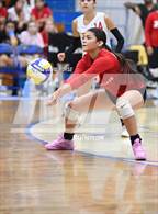 Photo from the gallery "Paraclete @ Quartz Hill"