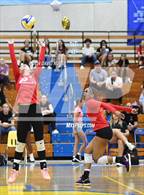 Photo from the gallery "Paraclete @ Quartz Hill"