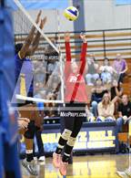 Photo from the gallery "Paraclete @ Quartz Hill"
