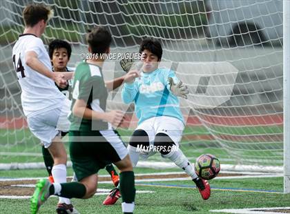 Thumbnail 1 in Canoga Park vs. Crespi (Crespi Classic) photogallery.