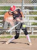 Photo from the gallery "San Rafael @ Redwood"