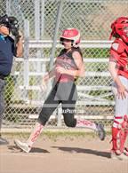 Photo from the gallery "San Rafael @ Redwood"