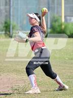 Photo from the gallery "San Rafael @ Redwood"