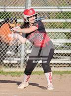 Photo from the gallery "San Rafael @ Redwood"