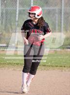 Photo from the gallery "San Rafael @ Redwood"