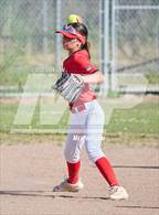 Photo from the gallery "San Rafael @ Redwood"