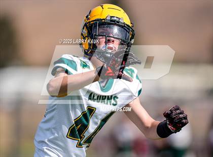 Thumbnail 1 in JV: Live Oak @ Ann Sobrato photogallery.