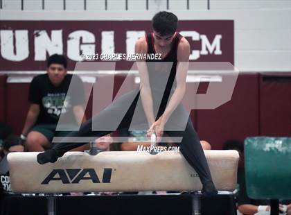 Thumbnail 2 in THSGCA State Meet (Pommel Horse-Optional) photogallery.