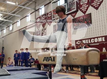Thumbnail 1 in THSGCA State Meet (Pommel Horse-Optional) photogallery.