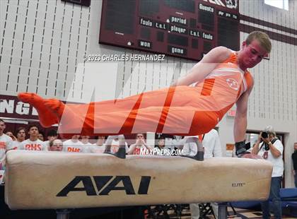 Thumbnail 2 in THSGCA State Meet (Pommel Horse-Optional) photogallery.