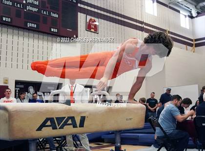 Thumbnail 2 in THSGCA State Meet (Pommel Horse-Optional) photogallery.
