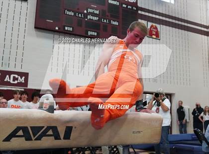 Thumbnail 1 in THSGCA State Meet (Pommel Horse-Optional) photogallery.