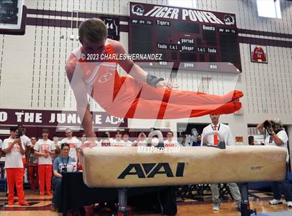 Thumbnail 2 in THSGCA State Meet (Pommel Horse-Optional) photogallery.