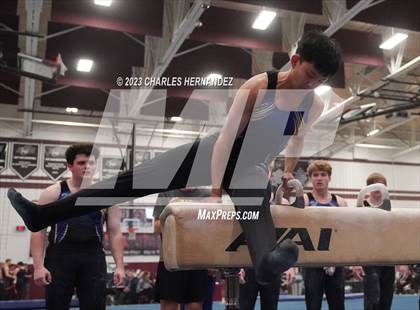 Thumbnail 3 in THSGCA State Meet (Pommel Horse-Optional) photogallery.