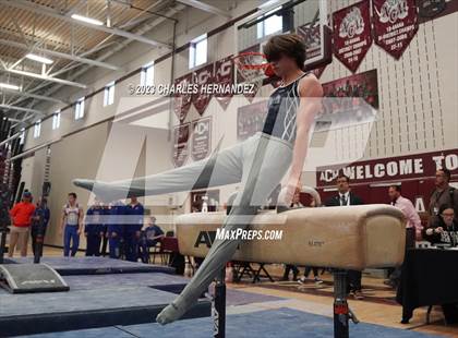 Thumbnail 3 in THSGCA State Meet (Pommel Horse-Optional) photogallery.