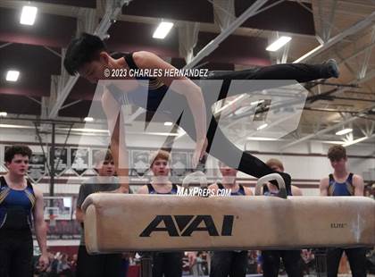 Thumbnail 1 in THSGCA State Meet (Pommel Horse-Optional) photogallery.