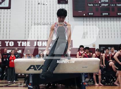 Thumbnail 2 in THSGCA State Meet (Pommel Horse-Optional) photogallery.
