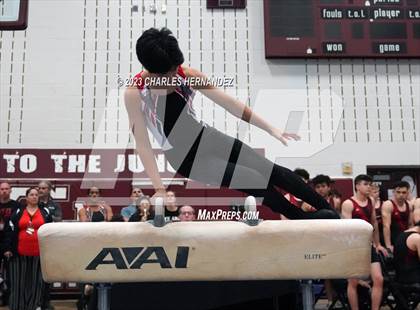 Thumbnail 3 in THSGCA State Meet (Pommel Horse-Optional) photogallery.